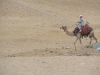 Cairo Giza_0115.jpg